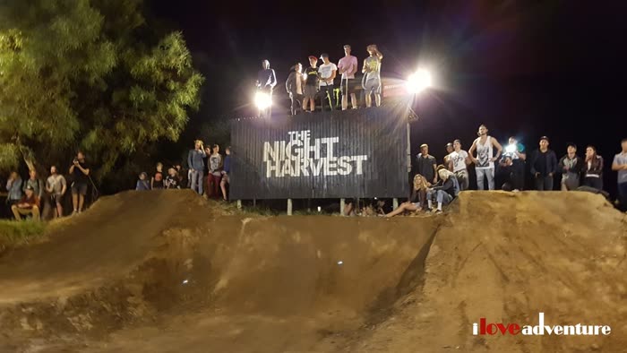 The Night Harvest, Hout Bay
